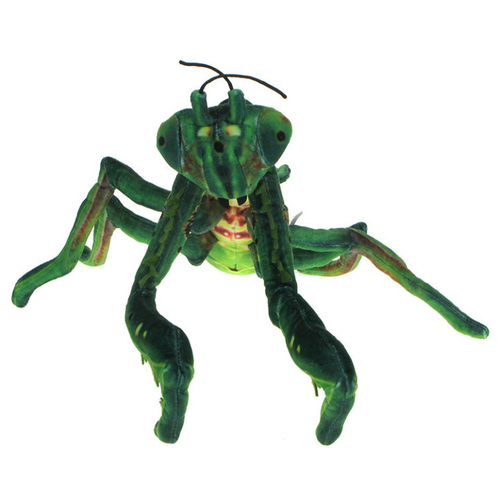 Maskotka Modliszka 40cm