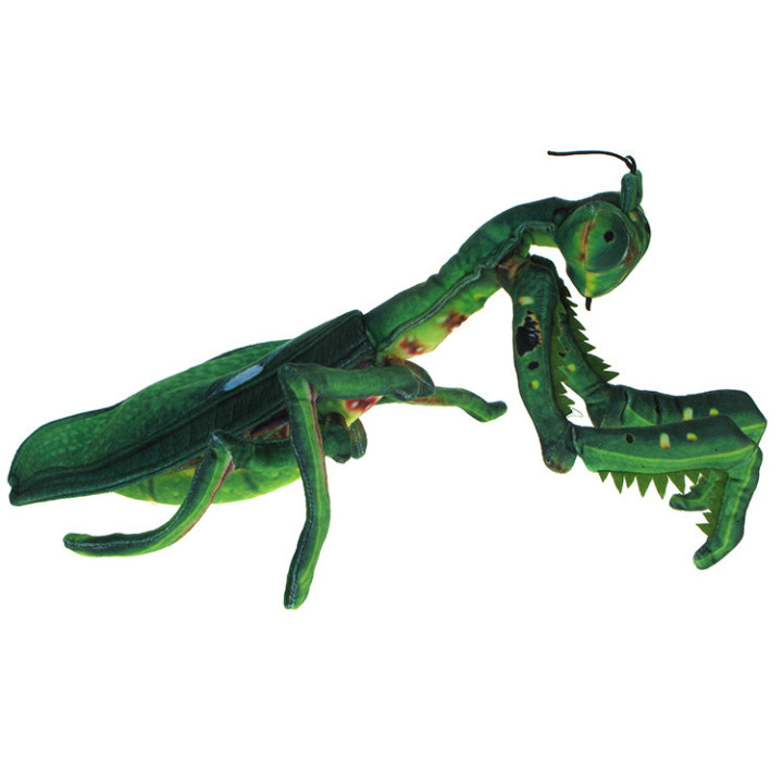 Maskotka Modliszka 40cm