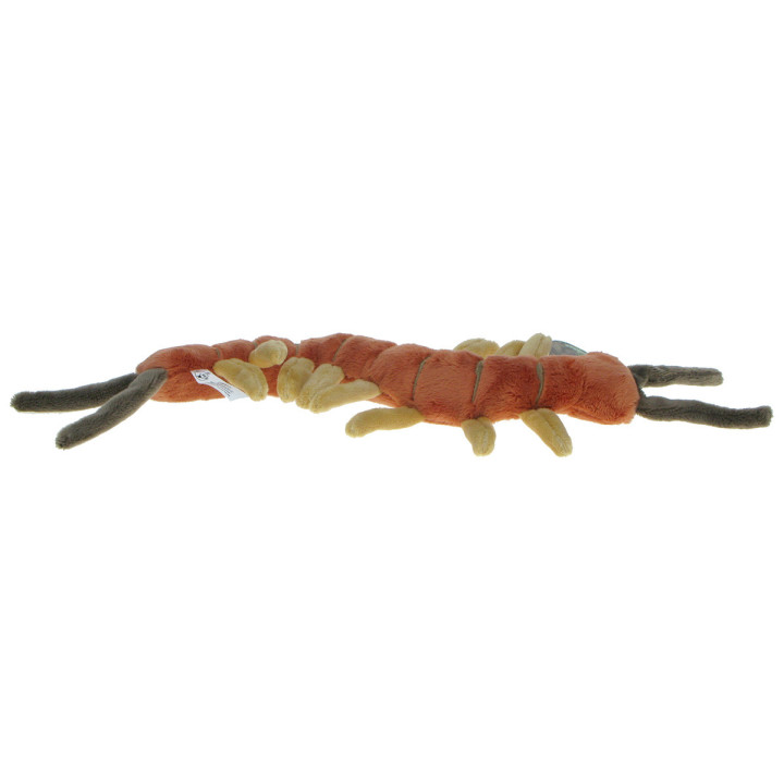 Maskotka Skolopendra (stonoga) 33cm