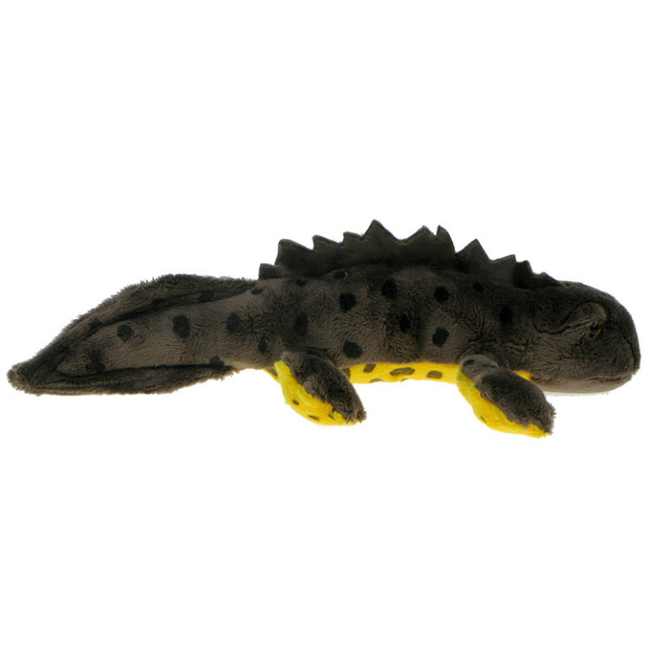 Maskotka Traszka grzebieniasta 28cm
