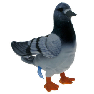 Maskotka Gołąb 28cm