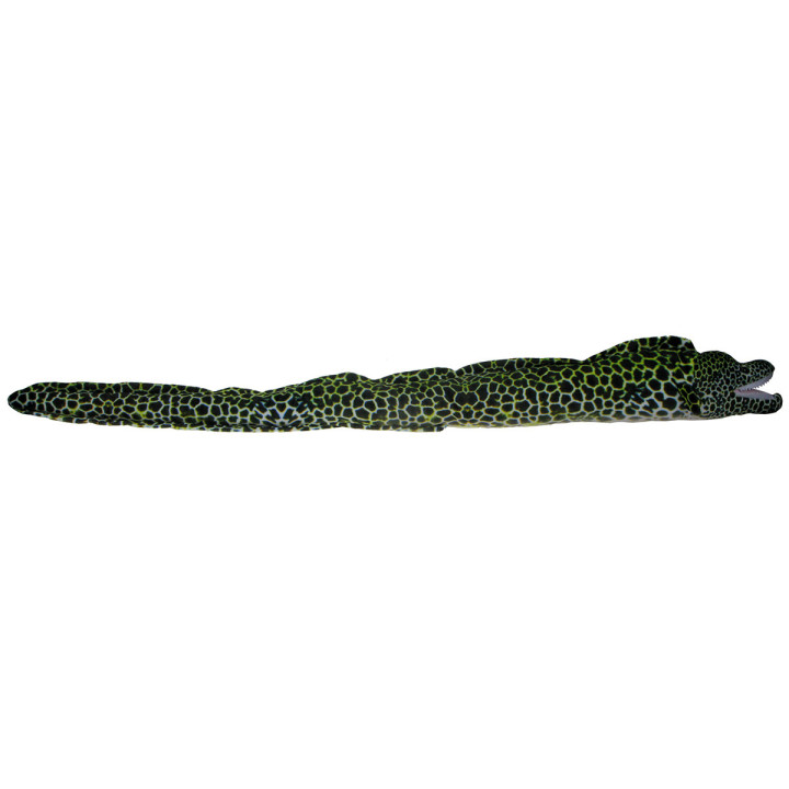 Pluszowe ZOO: Maskotka Murena 105cm