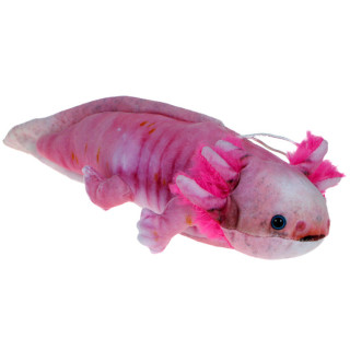 Maskotka Aksolotl różowy (ambystoma meksykańska) 40cm