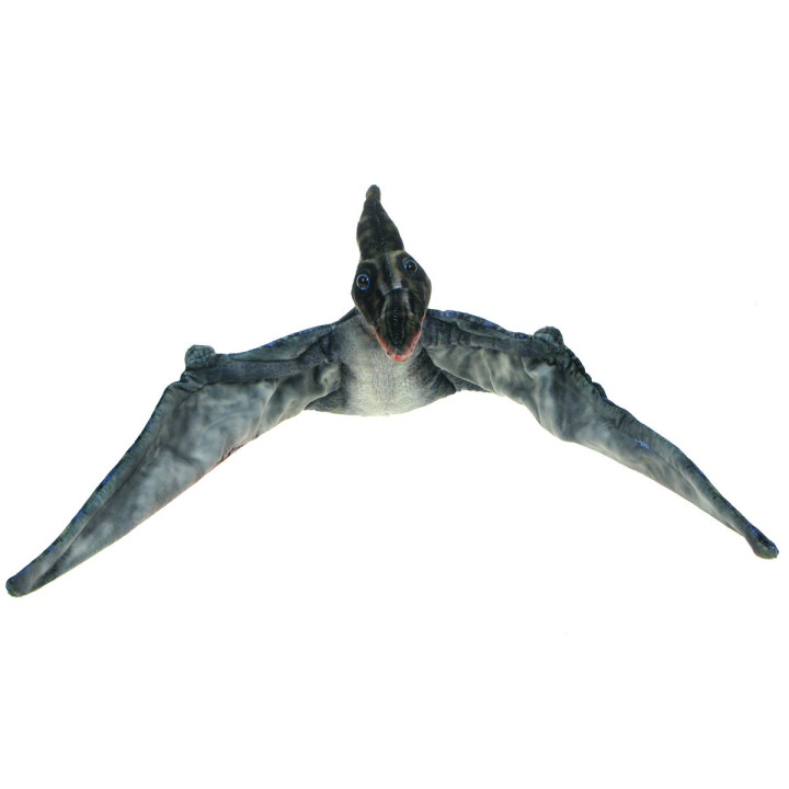 Barwne Prehistoryczne Zoo: Maskotka dinozaur Pterozaur 60cm