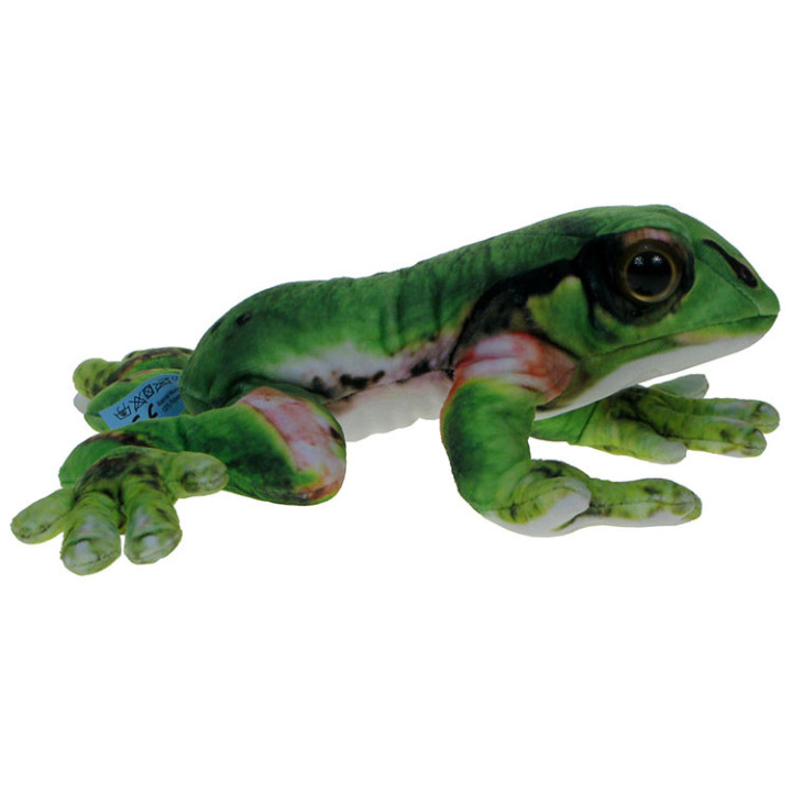 Barwne Zoo: Maskotka Żaba (rzekotka drzewna) 20cm