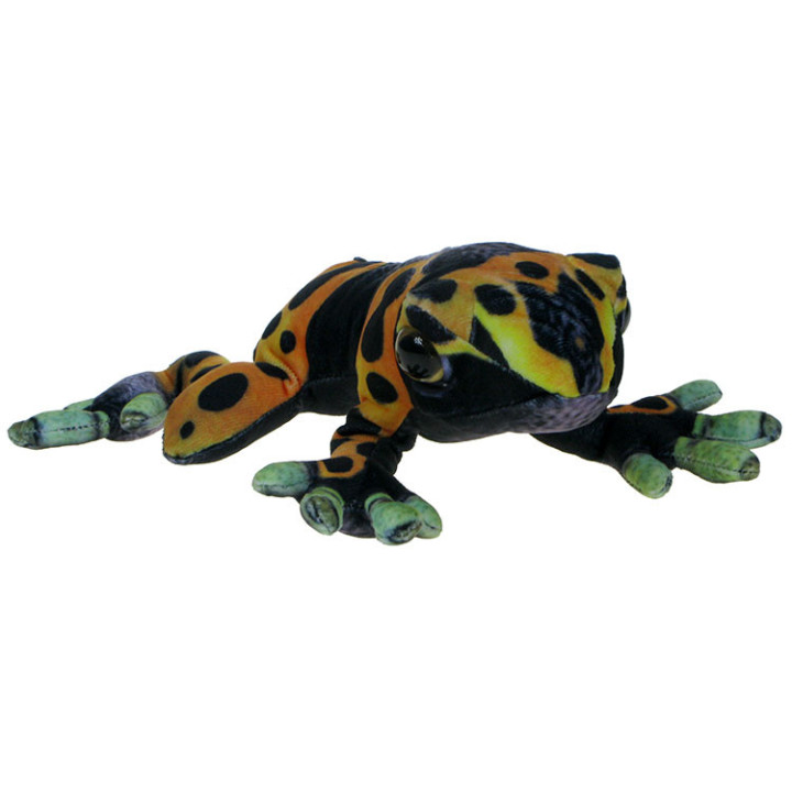Barwne Zoo: Maskotka Żaba (drzewołaz żółtopasy) 20cm