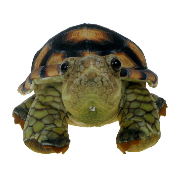 Barwne Zoo: Maskotka Żółw lądowy 25cm