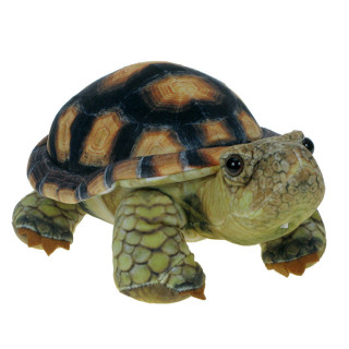 Barwne Zoo: Maskotka Żółw lądowy 25cm