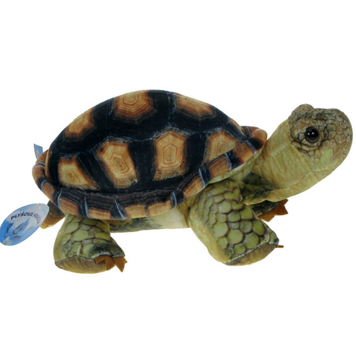 Barwne Zoo: Maskotka Żółw lądowy 25cm