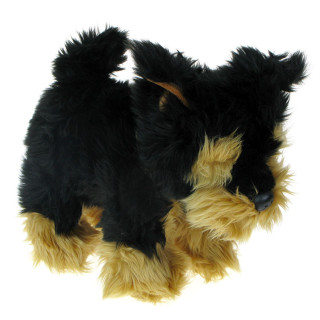 Maskotka Piesek Morkie 25cm
