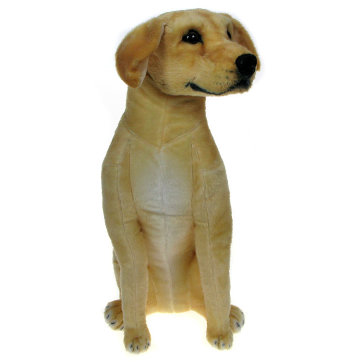 Maskotka Pies Labrador siedzący 60cm
