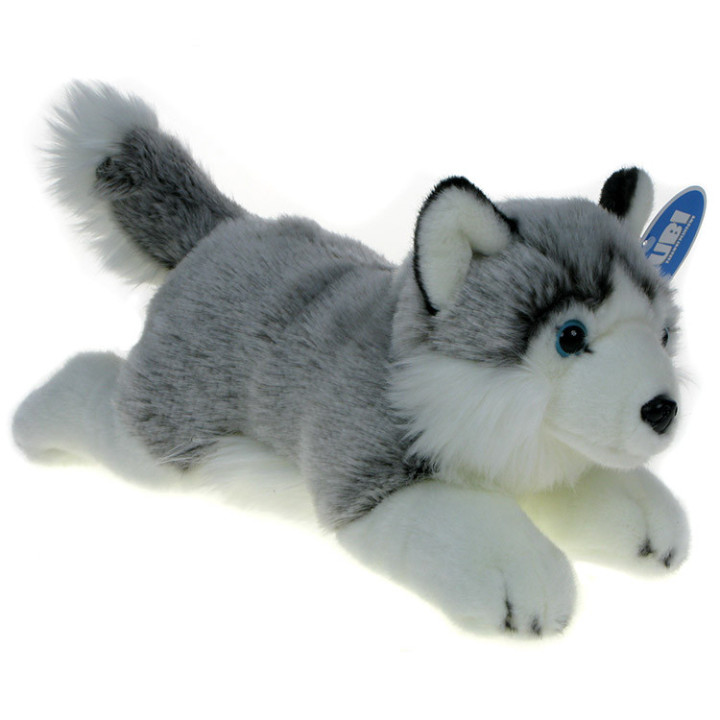 Maskotka Pies husky leżący 32cm