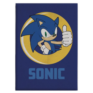 Koc polarowy: Sonic the Hedgehog