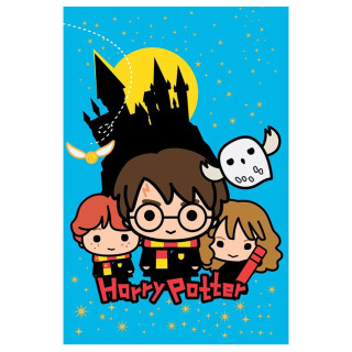 Koc polarowy Harry Potter: 100cm x 150cm