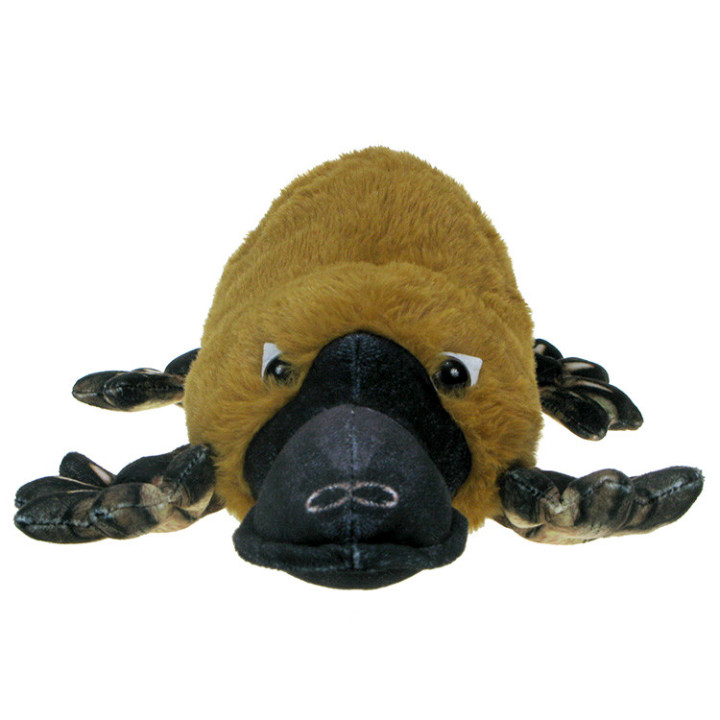 Pluszowe Zoo: Maskotka Dziobak 50cm