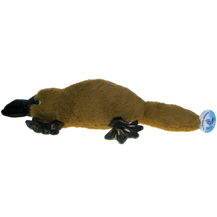 Pluszowe Zoo: Maskotka Dziobak 50cm