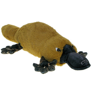 Pluszowe Zoo: Maskotka Dziobak 50cm