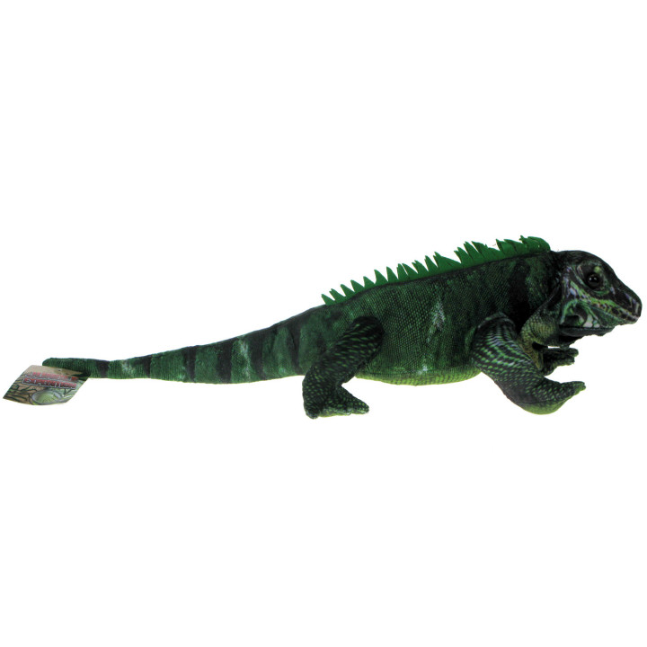 Barwne Zoo: Maskotka iguana, jaszczurka, legwan zielony 55cm