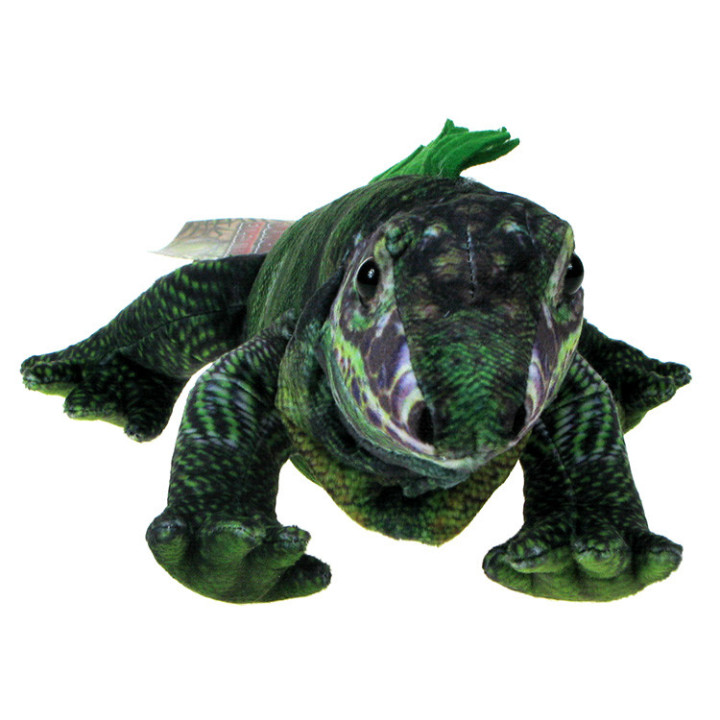 Barwne Zoo: Maskotka iguana, jaszczurka, legwan zielony 55cm