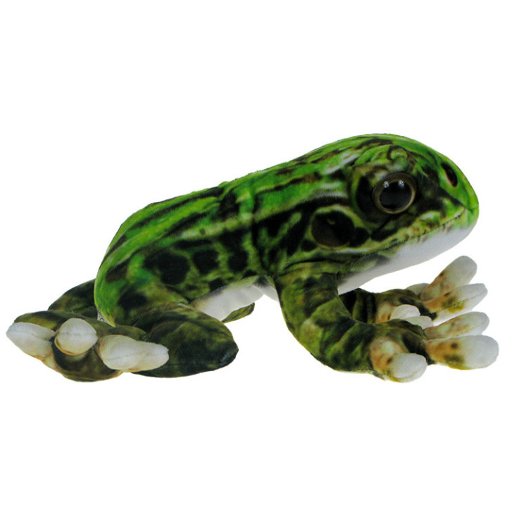 Barwne Zoo: Maskotka Żaba Śmieszka 20cm