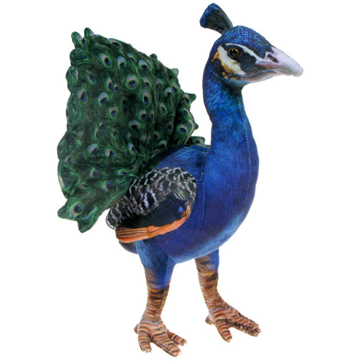 Pluszowe Barwne ZOO: duża Maskotka Paw 40cm