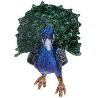 Pluszowe Barwne ZOO: duża Maskotka Paw 40cm
