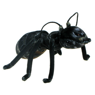 Barwne Pluszowe Zoo: Maskotka Mrówka czarna 20cm