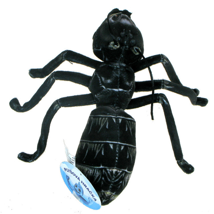Barwne Pluszowe Zoo: Maskotka Mrówka czarna 20cm