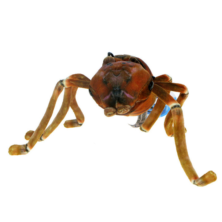 Barwne Pluszowe Zoo: Maskotka Mrówka czerwona 20cm