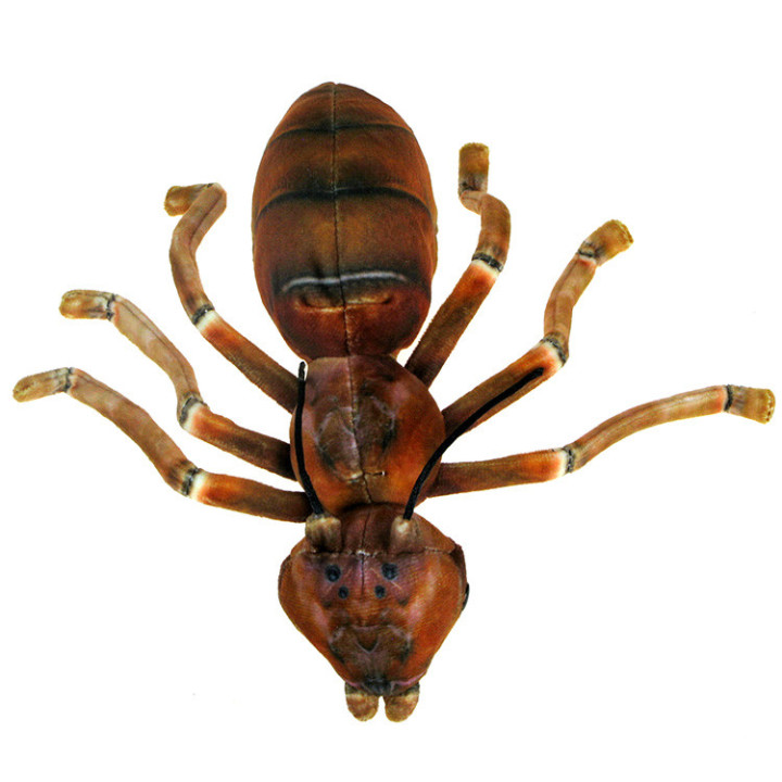 Barwne Pluszowe Zoo: Maskotka Mrówka czerwona 20cm