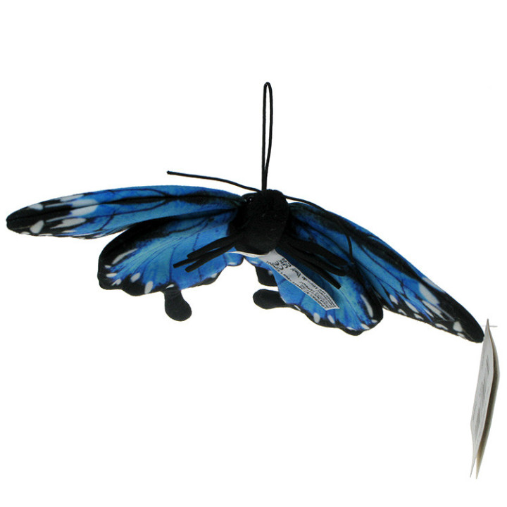 Barwne Zoo: Maskotka Motyl niebieski (Morpho Peleides) 25cm x 14cm