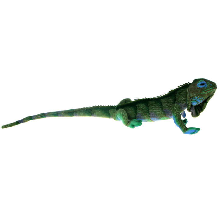 Maskotka Legwan 75cm
