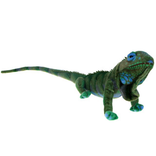 Maskotka Legwan 75cm