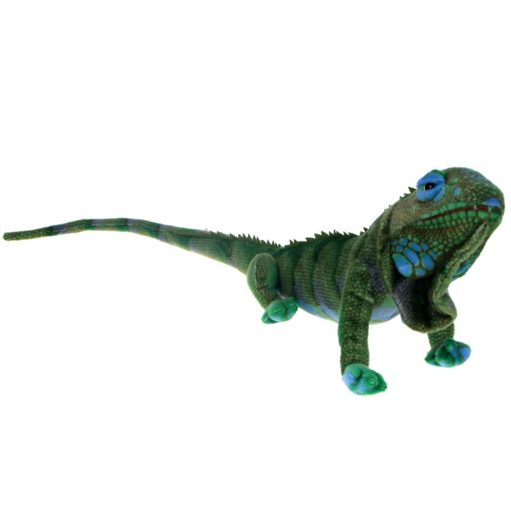 Maskotka Legwan 75cm