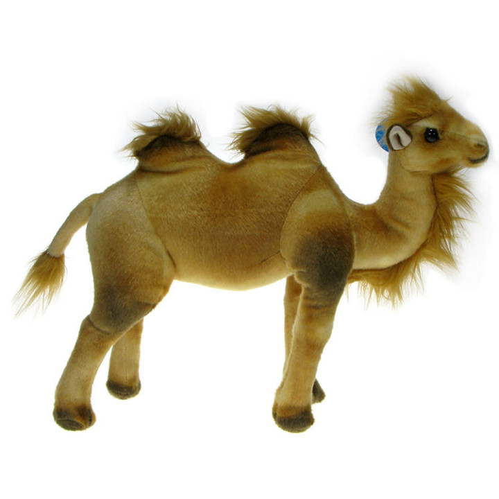 Maskotka Wielbłąd 40cm