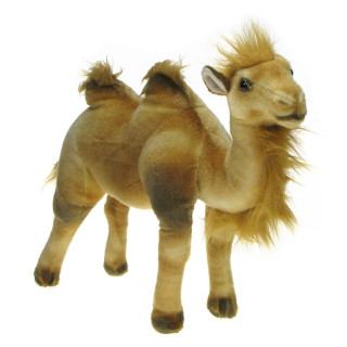 Maskotka Wielbłąd 40cm