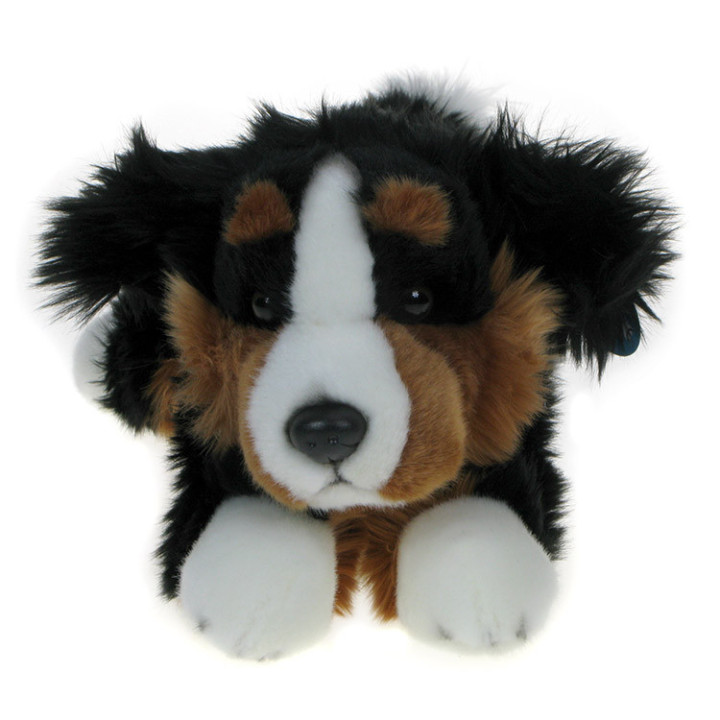 Maskotka Pies owczarek berneński 30cm