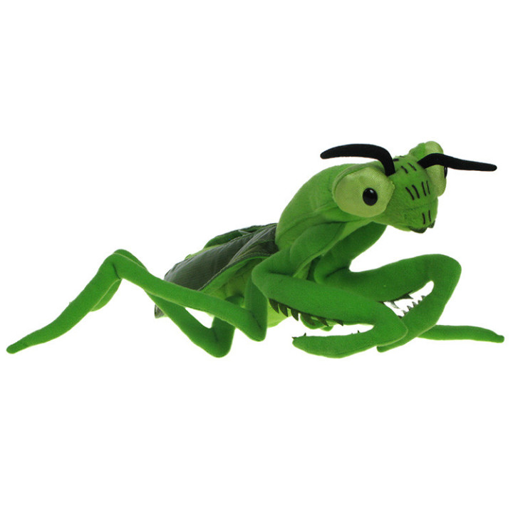 Maskotka Modliszka 35cm