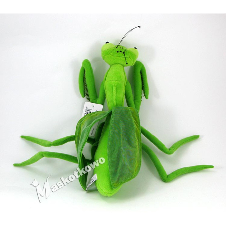 Maskotka Modliszka 35cm