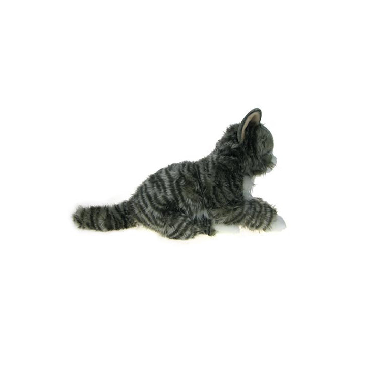 Maskotka Kot norweski leżący 50cm 12443