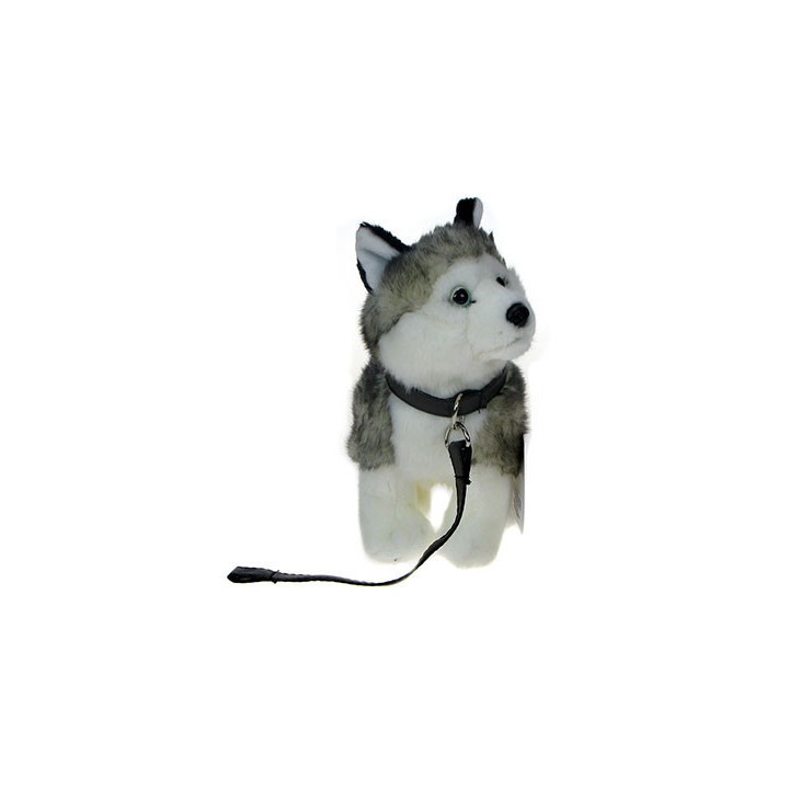 Maskotka Piesek husky na smyczy 24cm 89094