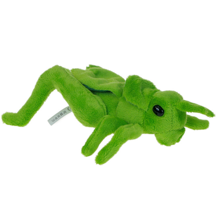 Maskotka Konik polny 20cm 69648