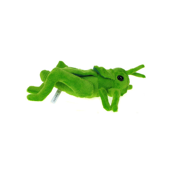 Maskotka Konik polny 20cm 69648