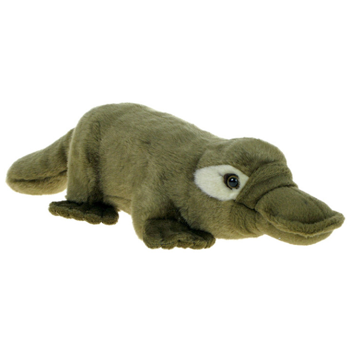 Maskotka Dziobak 36cm 05709