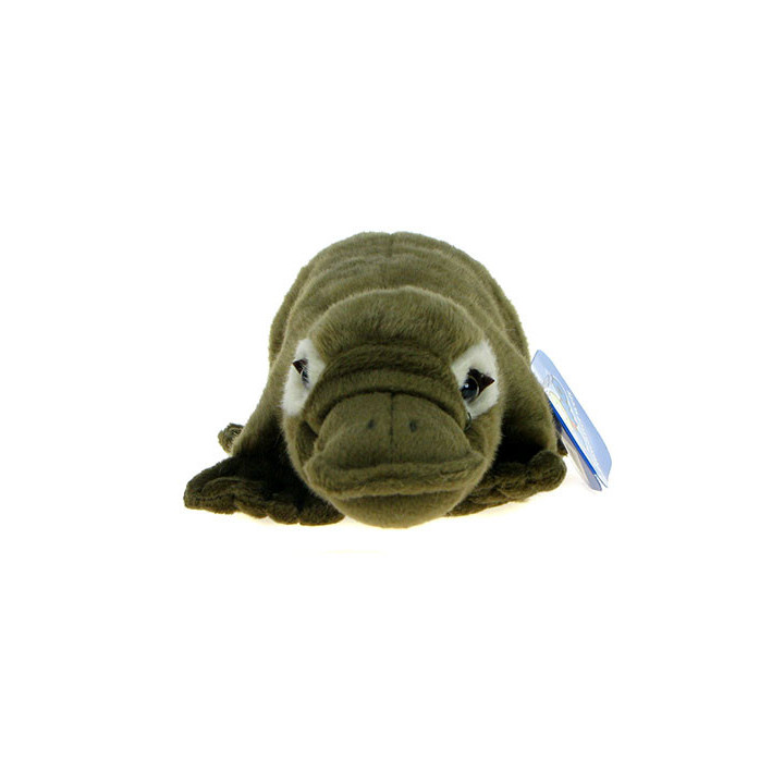 Maskotka Dziobak 36cm 05709