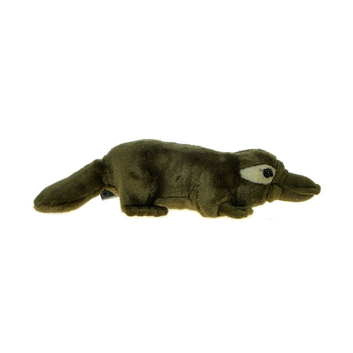 Maskotka Dziobak 36cm 05709