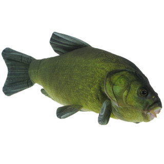 Barwne Zoo: Maskotka pluszowa ryba Lin 50cm (90935)