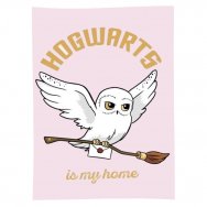 Koc pluszowy Harry Potter (072600) Sowa Hedwiga